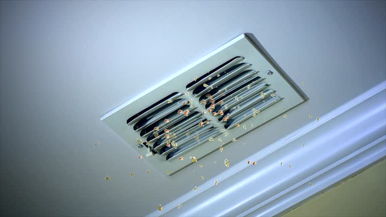 Best Air Vent Cleaning Services  in Roseburg Nth, OR