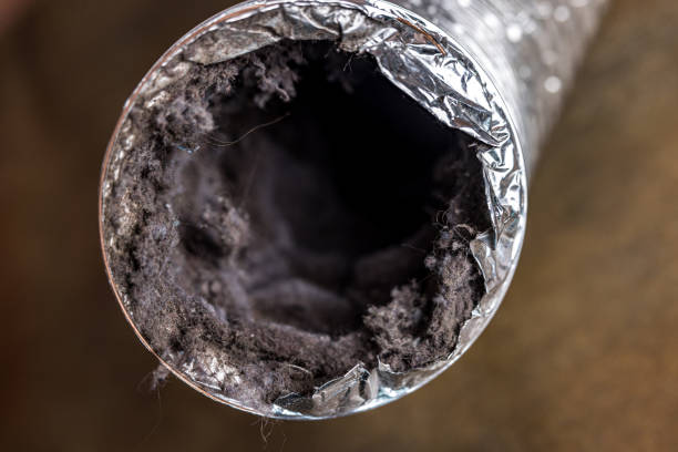 Best Air Duct Cleaning Company Near Me  in Roseburg Nth, OR