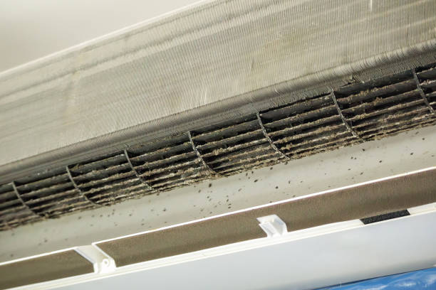 Best Professional Duct Cleaning Services  in Roseburg Nth, OR